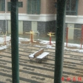 2011-1-11ѩũ2010̩͵ĵڶѩ