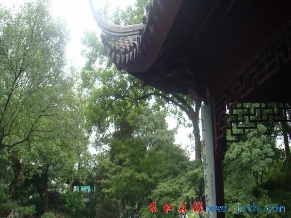 DSC01339.JPG