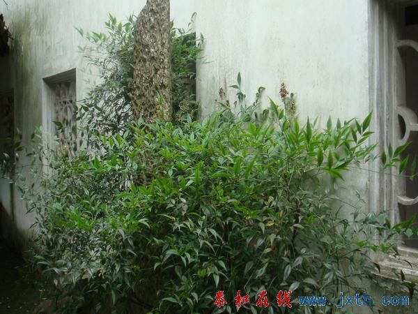 DSC01342.JPG