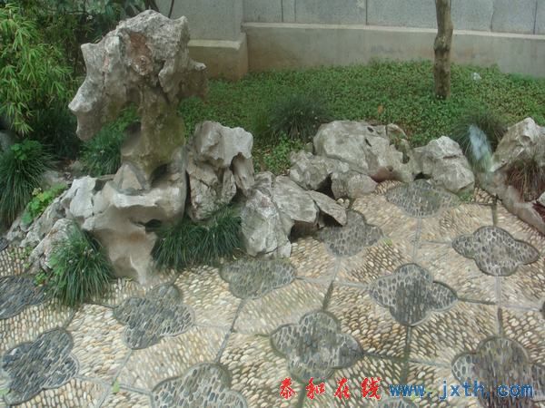 DSC01347.JPG
