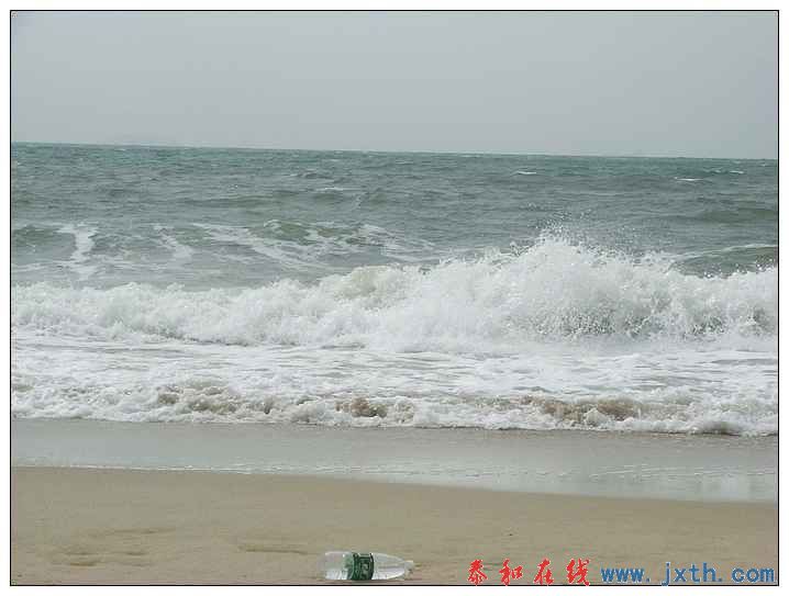 RIMG0768.jpg