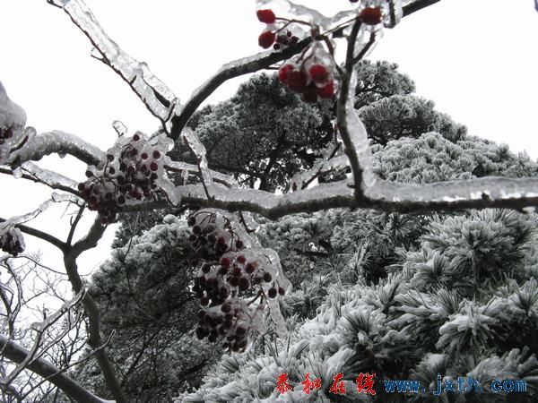 IMG_0559.jpg