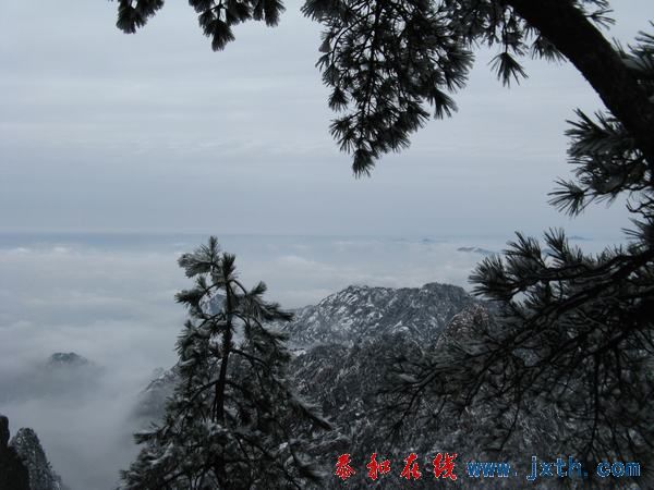 IMG_0565.jpg