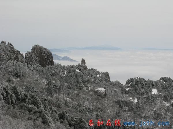IMG_0573.jpg