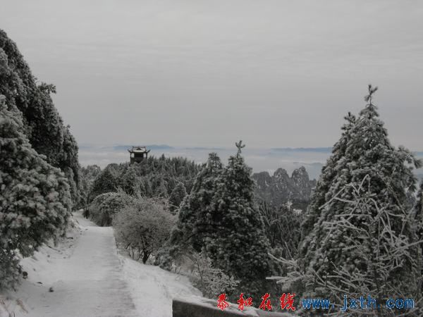 IMG_0577.jpg