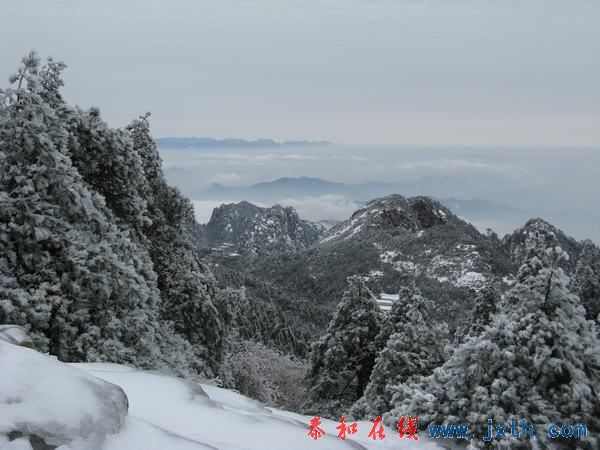 IMG_0582.jpg