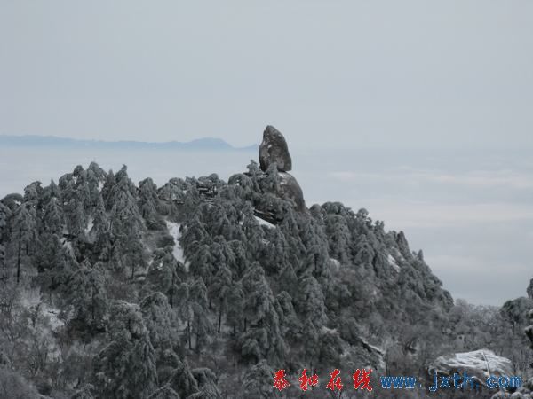 IMG_0592.jpg