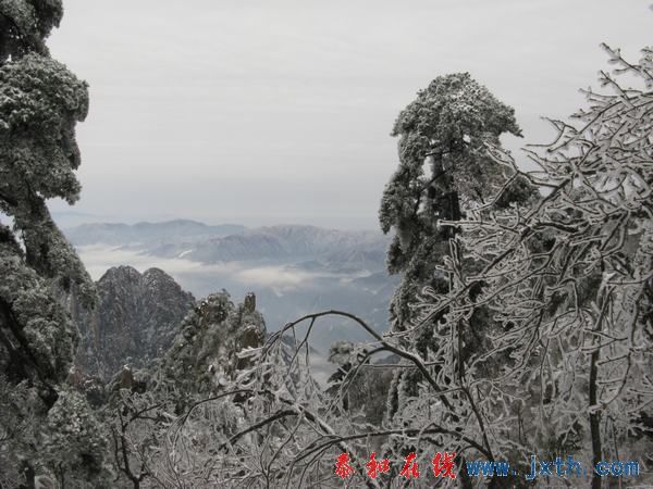 IMG_0600.jpg