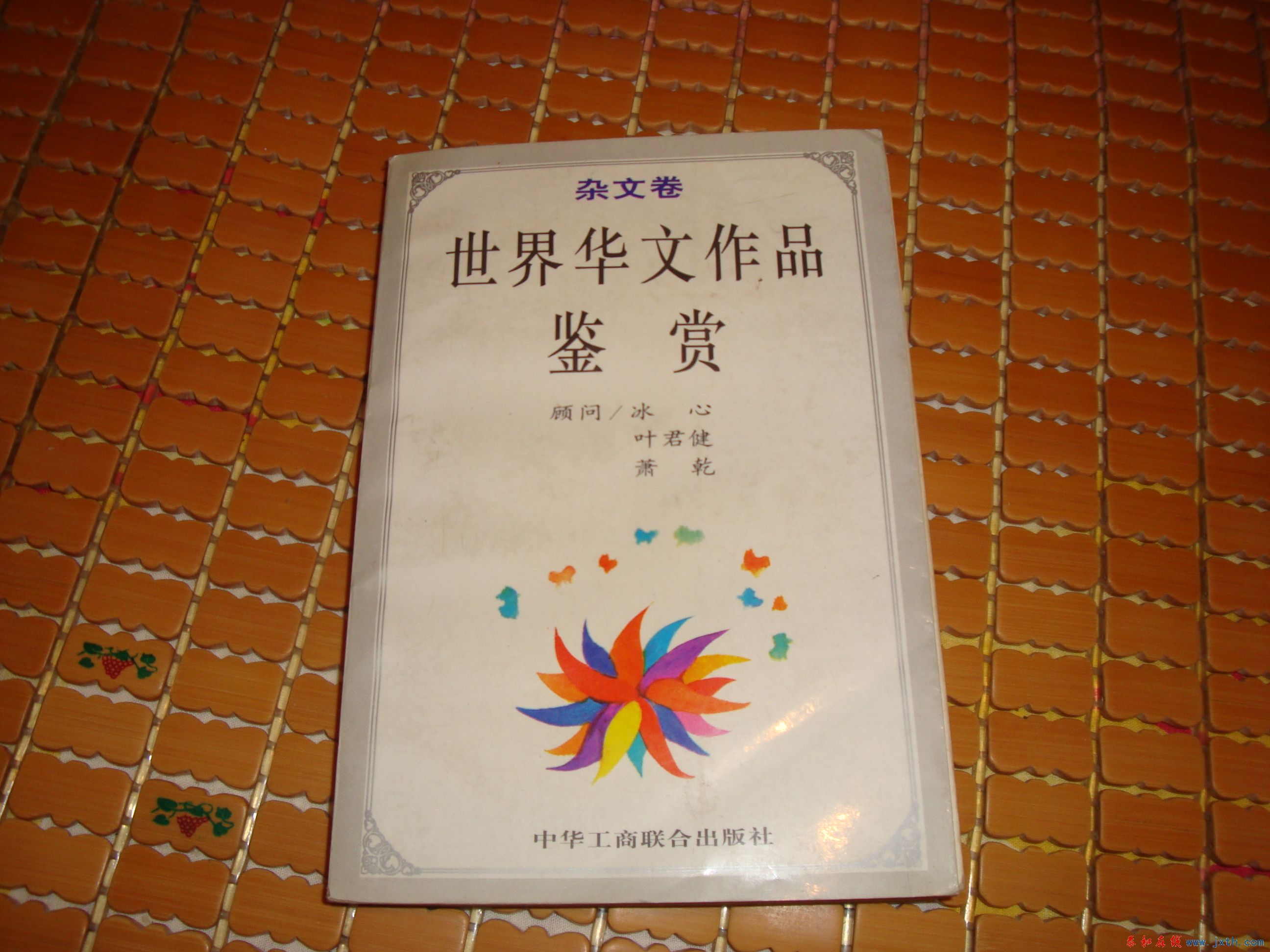 DSC07465.JPG