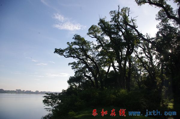 IMGP8756.JPG