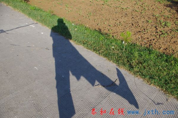 IMGP8789.JPG