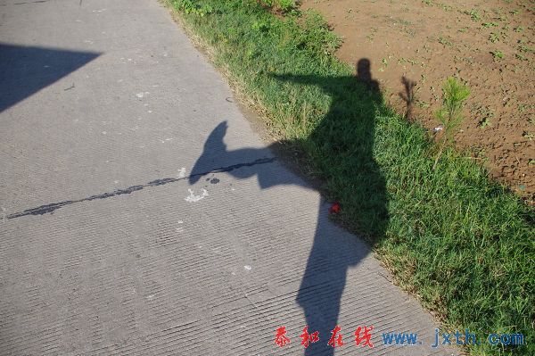IMGP8790.JPG