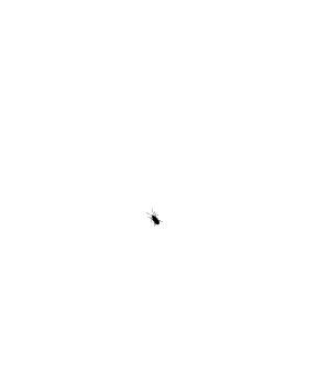 1284367535582.gif