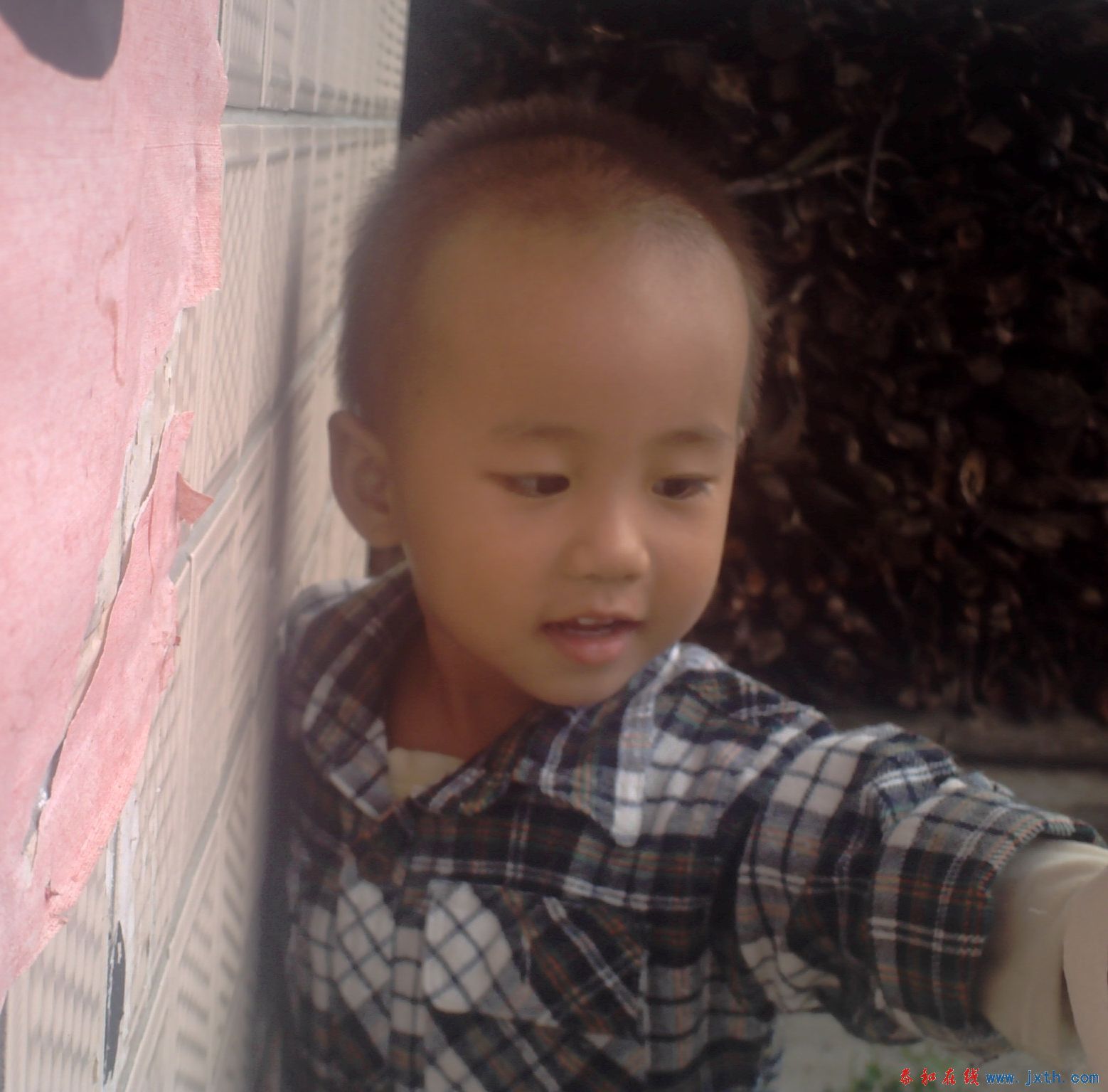 PICT0035.JPG