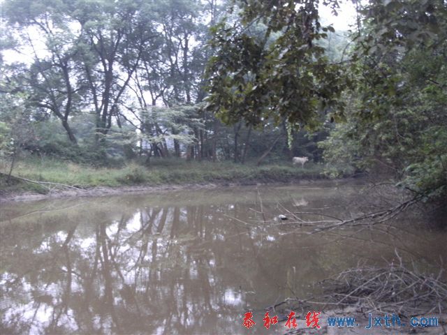 DSCF8796.JPG