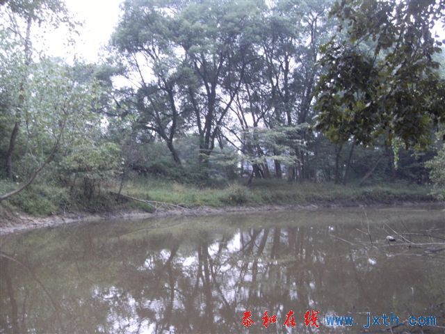 DSCF8798.JPG