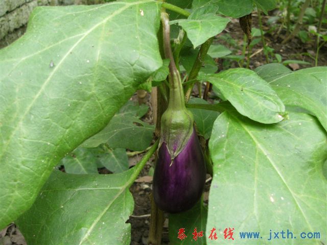 DSCF8358.JPG