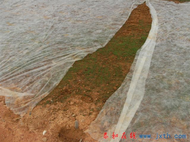 DSCF8441.JPG