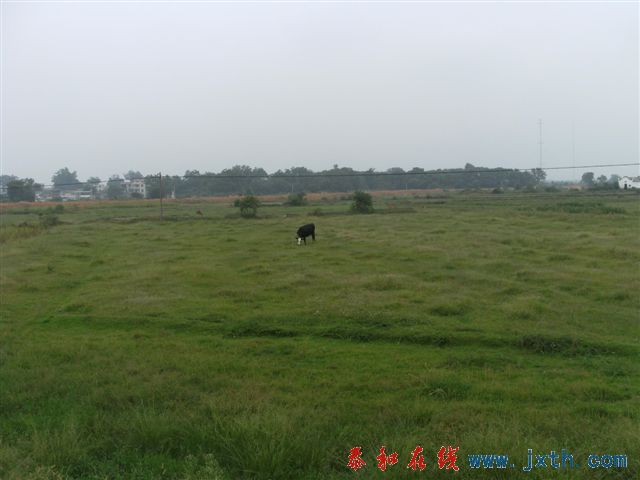 DSCF8443.JPG