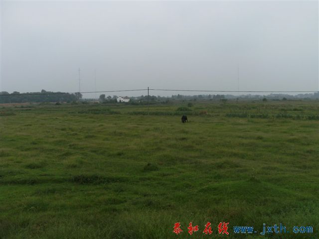 DSCF8444.JPG