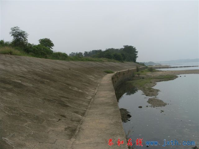 DSCF8451.JPG