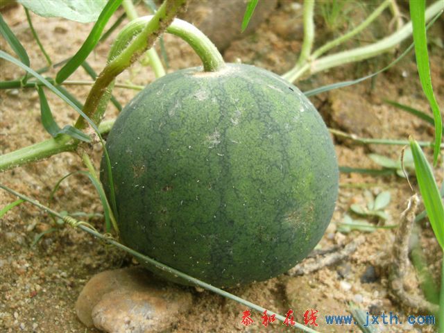 DSCF8539.JPG