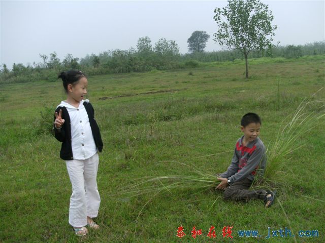 DSCF8778.JPG