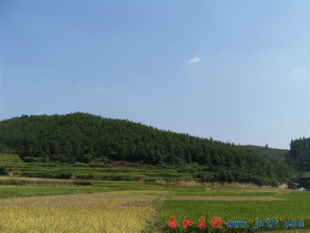 һ·羰 (27).JPG