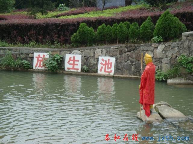 С DSC07645.JPG