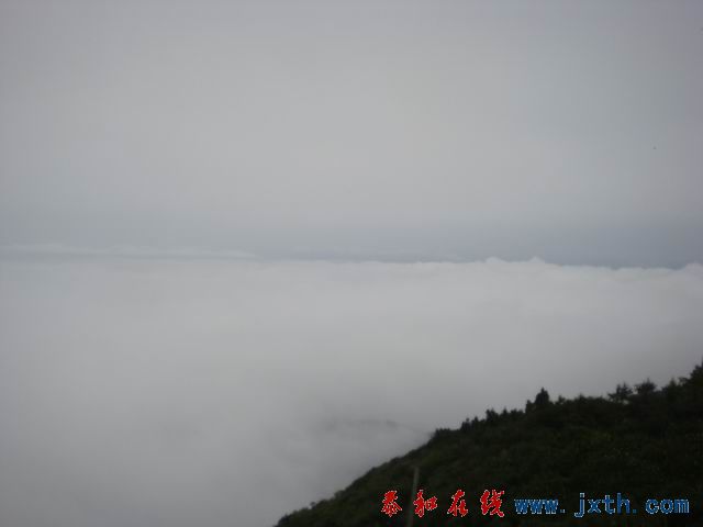 С DSC07719.JPG