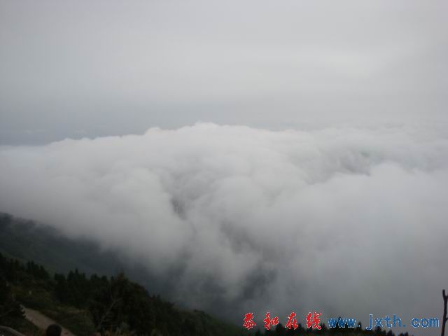 С DSC07721.JPG