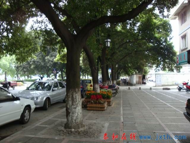 С DSC07819.JPG