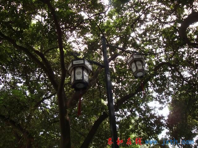 С DSC07820.JPG