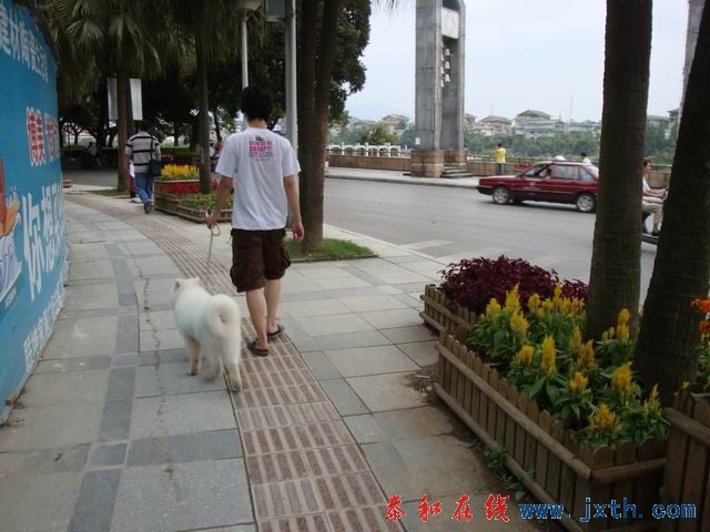 С DSC07822.JPG
