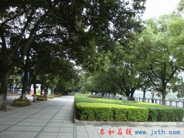 С DSC07825.JPG