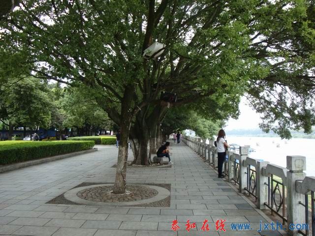 С DSC07827.JPG