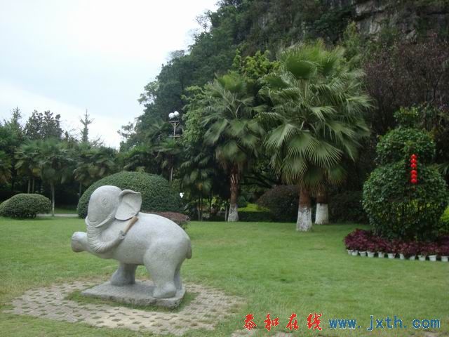 С DSC07955.JPG