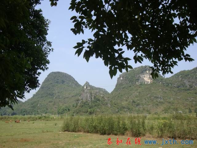 С DSC08131.JPG