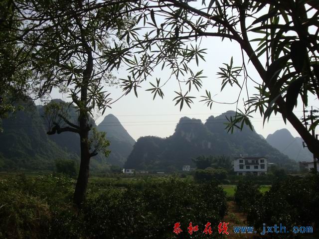 С DSC08153.JPG