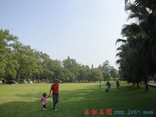 С DSC08009.JPG
