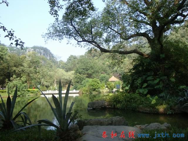 С DSC08020.JPG