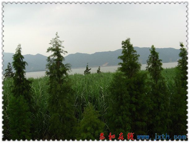 20101001˳25KMͽ146.jpg