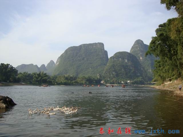 С DSC08231.JPG