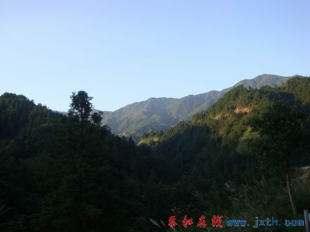 С DSC08362.JPG