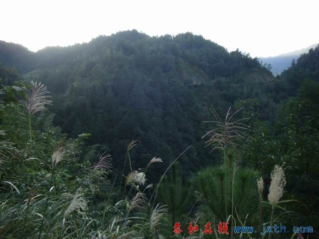 С DSC08364.JPG