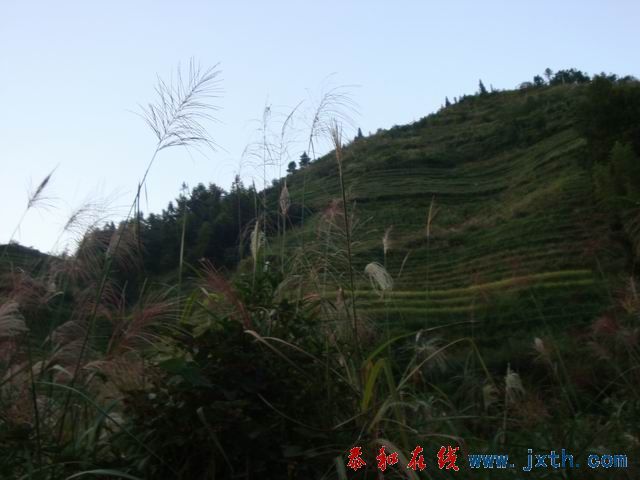 С DSC08366.JPG