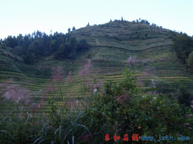 С DSC08368.JPG
