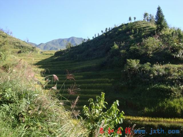 С DSC08422.JPG