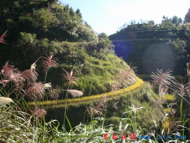 С DSC08423.JPG