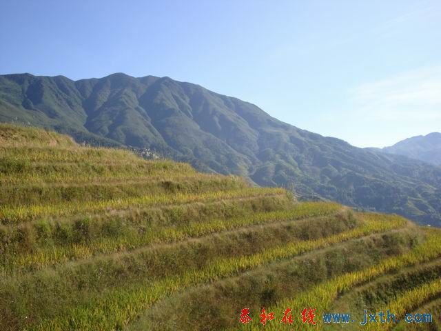 С DSC08433.JPG